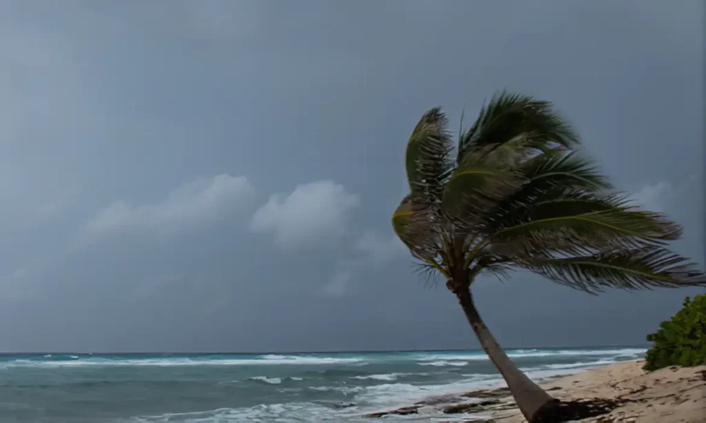 Defesa Civil alerta para ventos fortes em SP nesta segunda-feira