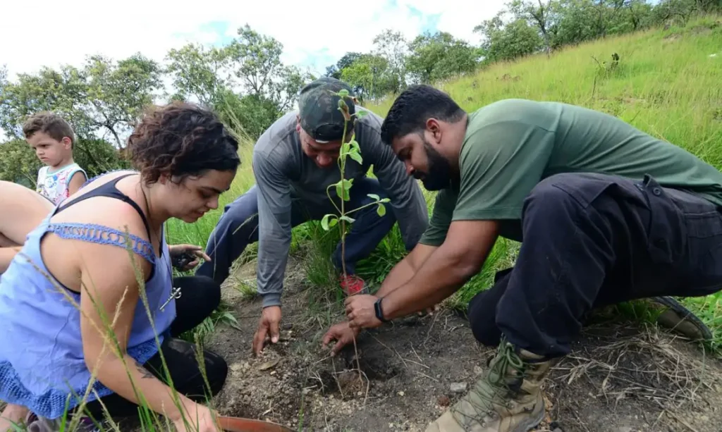 Rio: mutirão na Serra do Vulcão promove ações climáticas da periferia