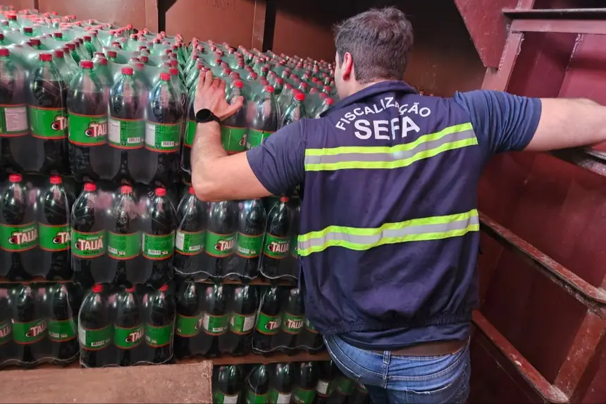 Fiscais da Sefa apreendem cargas irregulares em Oriximiná e Cachoeira do Piriá
